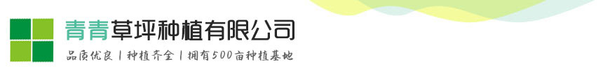 zoty中欧·(中国有限公司)官方网站
